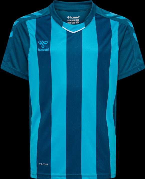 Image du produit hummel Core Xk Striped Jersey Kids S/S (140)