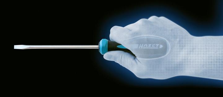 Produktbild HAZET Schraubendreher Satz HEXAnamic 802/10 ∙ Schlitz Profil, Kreuzschlitz Profil PH ∙ 0,6 x 3,5 -… (Schlitzschrauben, Phillipps-Kreuzschlitz (PH))