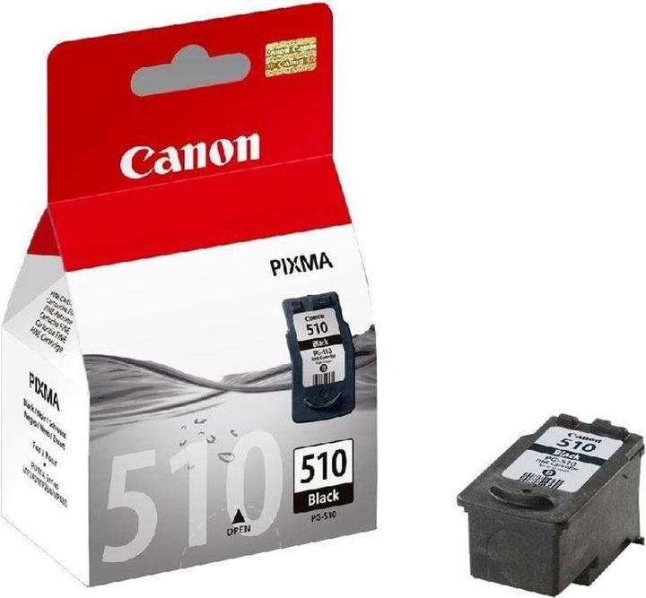 Actual product image Canon Pg-510 (FC)