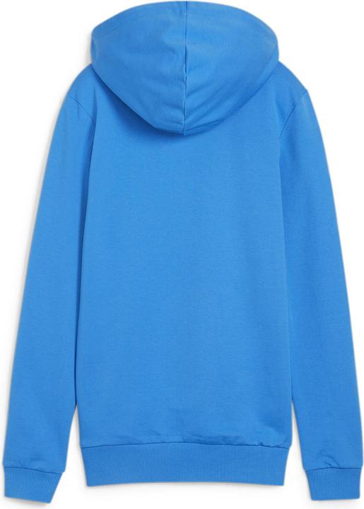 Produktbild Puma teamGOAL Casuals Hoody Wmn (M)