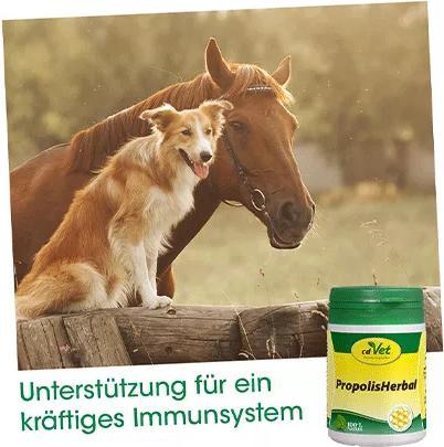 Produktbild cdVet PropolisHerbal (Adult, 1 Stk., 45 g)