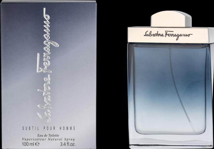 Image du produit Salvatore Ferragamo Subtil (Eau de toilette, 100 ml)
