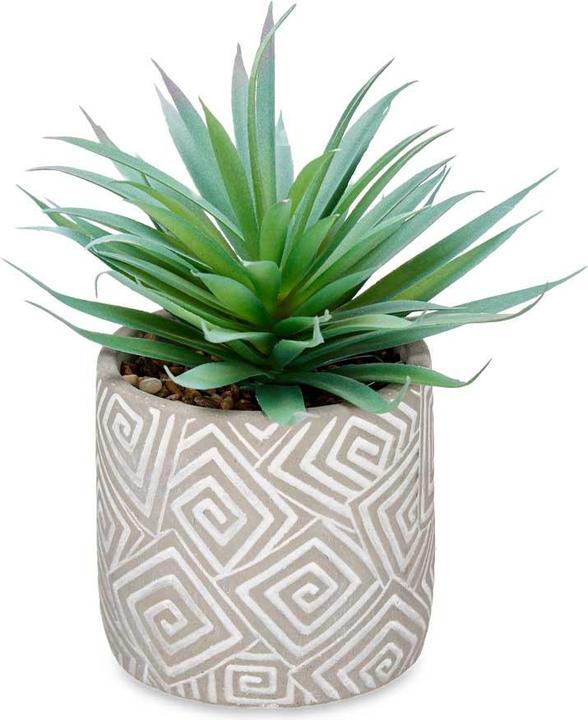 Actual product image Ibergarden Houseplant with grey pot (21 cm)