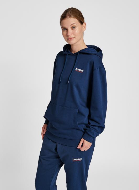 Image du produit hummel Lgc Austin Hoodie (XXL)