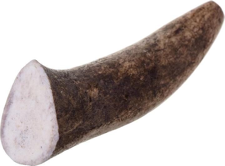 Immagine prodotto 4Dogs Original 4DOGS - Corna da masticare di cervo (dure) - XS (Senior, 19 g)