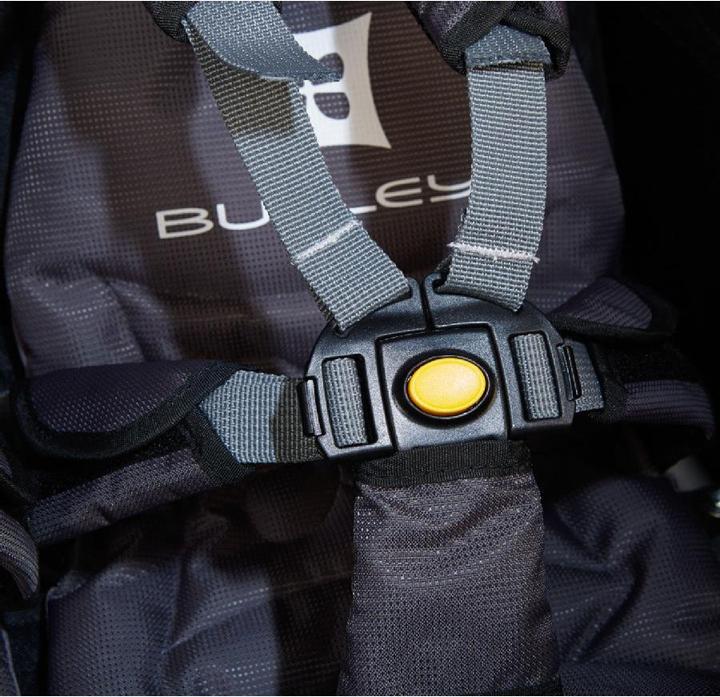 Actual product image Burley D'Lite