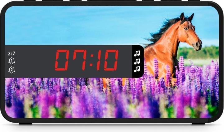 Actual product image Bigben Horses