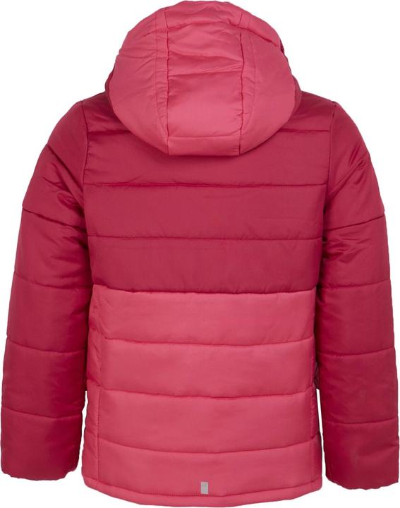 Actual product image Regatta Childrens/Kids Lofthouse VIII Insulated Jacket (164)