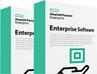 Actual product image HPE E StoreOnce Gen4 FC Card LTU