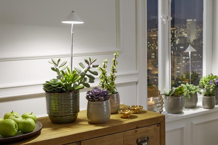 Actual product image Colibri SUNLiTE white (LED, 230 V)