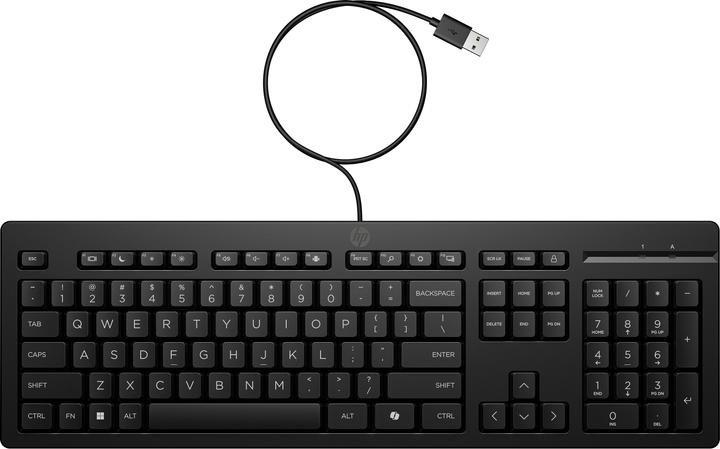 Actual product image HP 125 G2 USB WD KBD DE (DE, Cable)