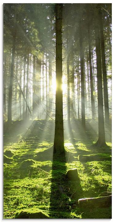 Actual product image Artland Forest against the light T5SV (30 x 60 cm)
