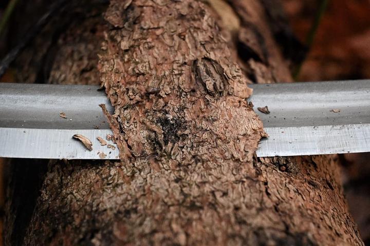 Immagine prodotto Kirschen Coltello a serramanico, dritto 300 mm