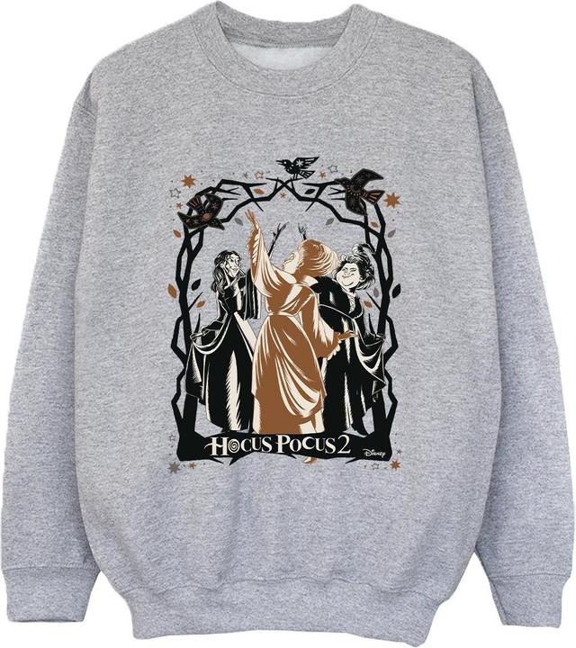 Disney Hocus Pocus Birds Sweatshirt Jungen