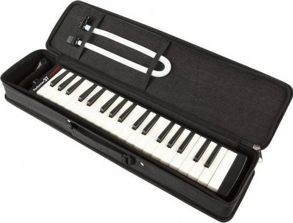 Immagine prodotto Hohner Interprete di melodica 37 (Melodica)