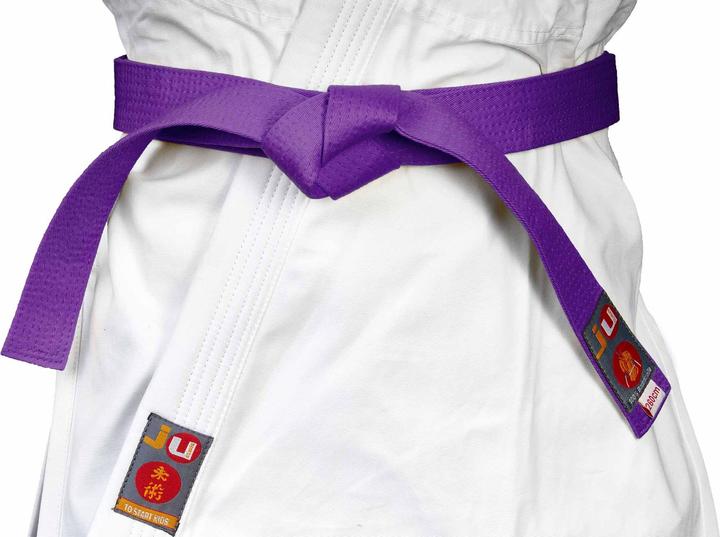 Immagine prodotto Ju-Sports Cintura Budo viola