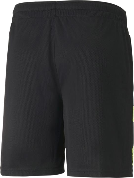 Produktbild Puma Team SFV Banded Sock Replica (43 - 46)