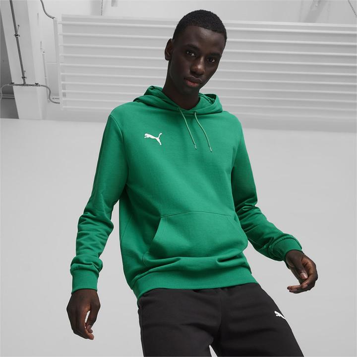 Actual product image Puma teamGOAL Casuals Hoody (L)