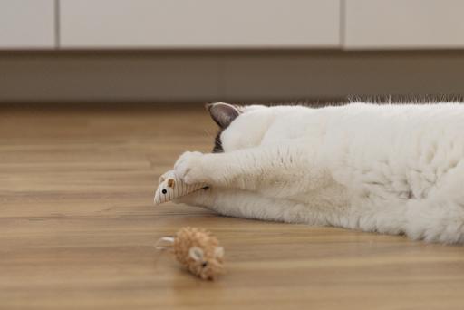 Immagine prodotto Beeztees Katzenspielzeug Eco Maus Seerp (Catmint giocattolo)