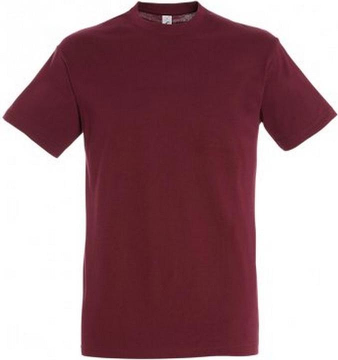 Image du produit Sols - T-shirt REGENT - Homme (3XL)