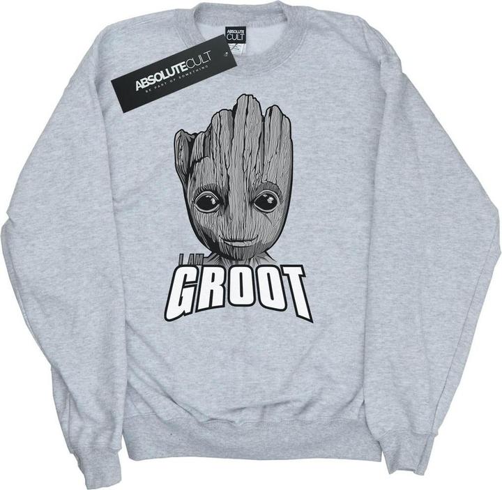 Guardians Of The Galaxy Groot Face Sweatshirt Mädchen
