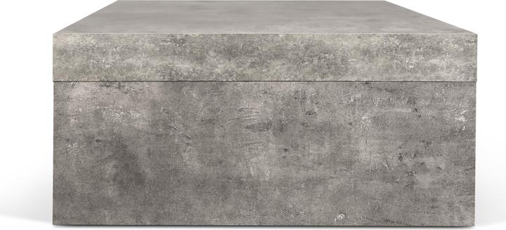 Produktbild Temahome Detroit (110 x 65 x 29 cm)