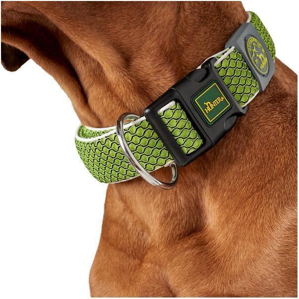 Actual product image Hunter Dog collar Hilo Vario Plus (XL, Dog, Dog sport)
