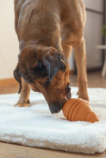 Actual product image Beeztees Sumo Play