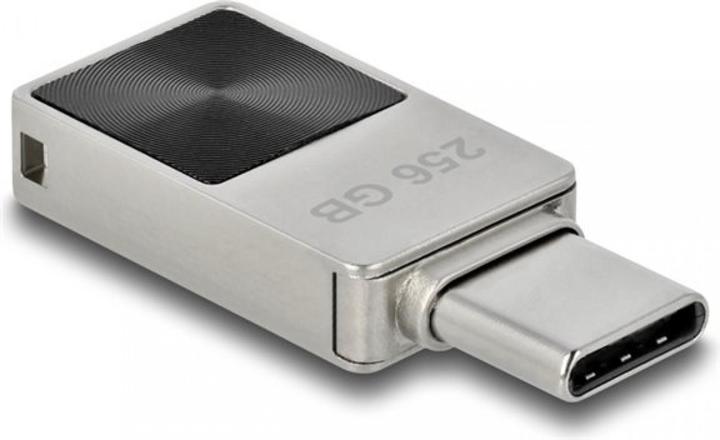 Produktbild Delock Mini (256 GB, USB-C)