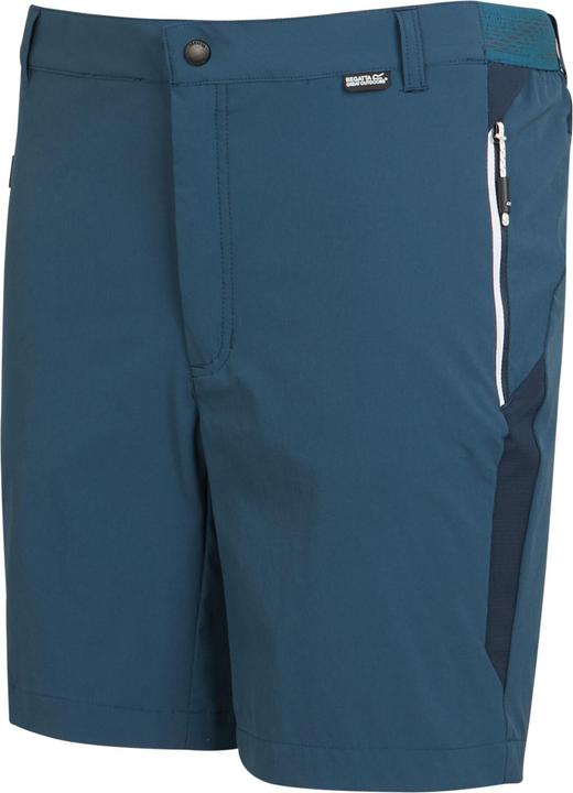 Actual product image Regatta Mens Mountain II Shorts (44 D)