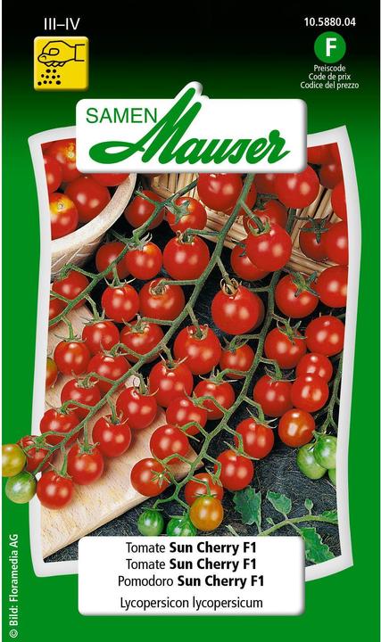 Actual product image Samen Mauser Tomato Sun Cherry F1 (Vegetable seeds)