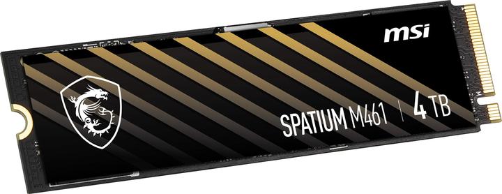Actual product image MSI Spatium M461 (4000 GB, M.2 2280)