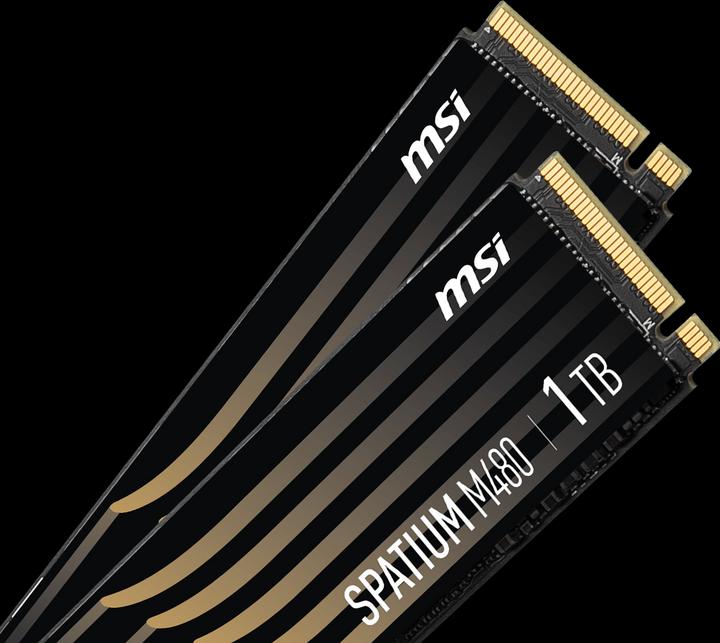 Immagine prodotto MSI Spatium M480 (1000 GB, M.2 2280)