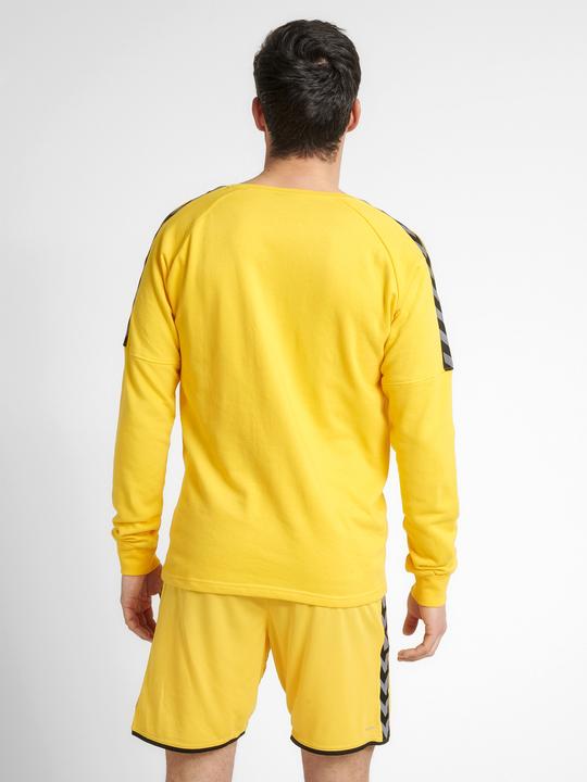 Image du produit hummel Sweat D'Entraînement Authentique (M)