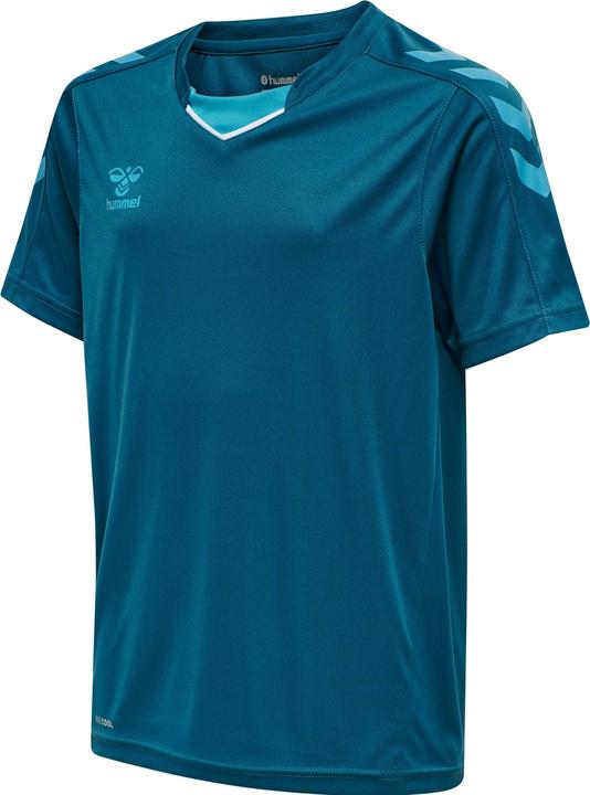 bluecorale