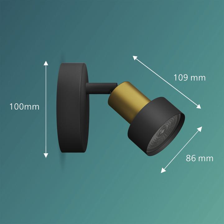 Image du produit Philips Conduit (GU10)