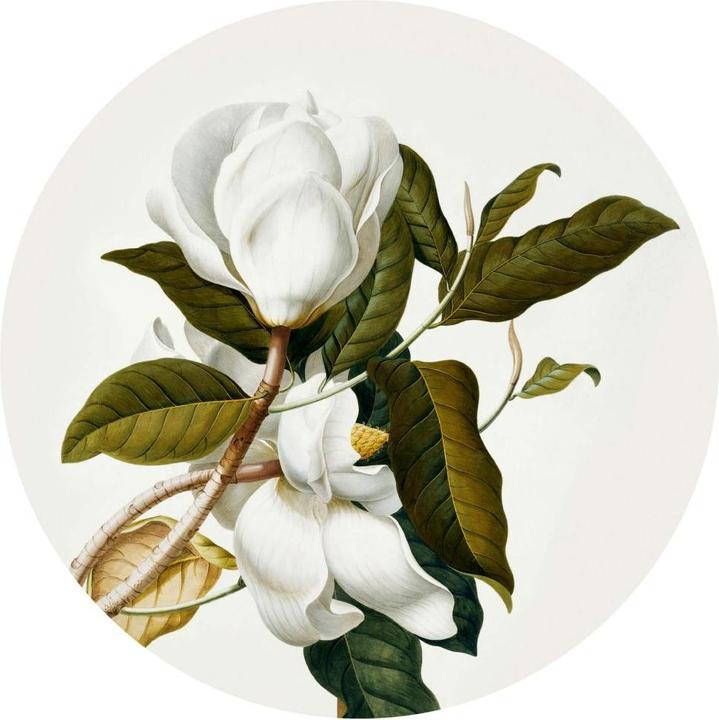 Actual product image Trenddeko Magnolia - round (Ø 90 cm)