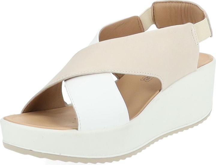 beige/bianco