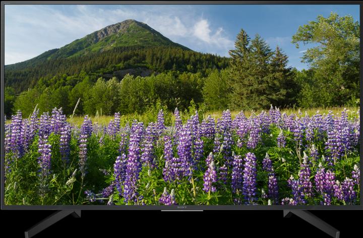 Produktbild Sony Kd-49xf7005 (49", LCD, 4K, 2018)