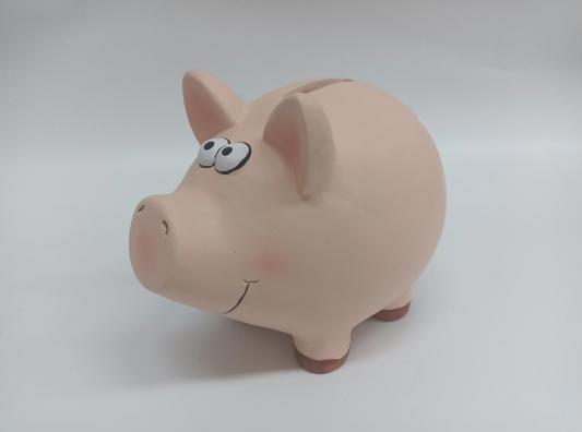 Produktbild Roost Sparkasse Schwein (18.5 x 14.5 x 15.5 cm)