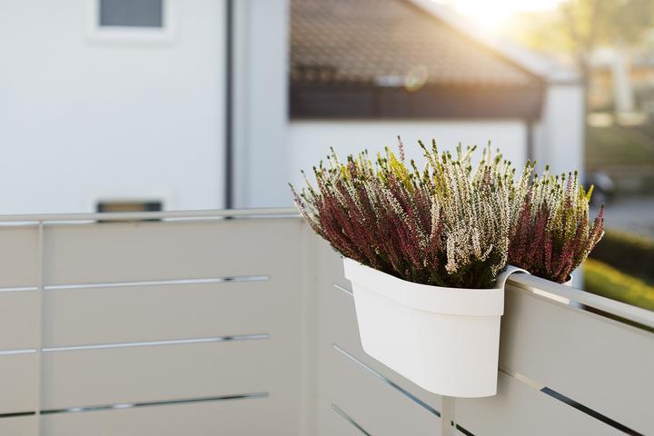 Actual product image Euro3plast Planter box (21 cm)