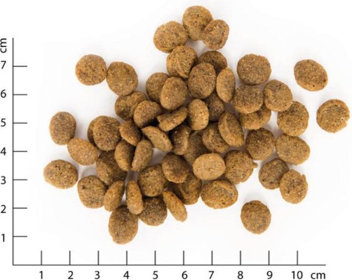 Actual product image Vegdog Green Crunch (Adult, 1 pcs., 5000 g)