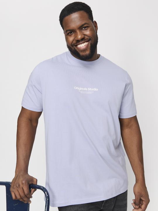 Produktbild Jack & Jones Jorvesterbro Tee Ss Crew Neck Noos Pls (4XL)