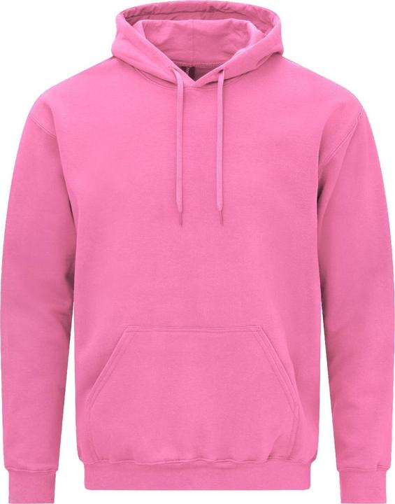 Actual product image Gildan Unisex Adult Softstyle Fleece Midweight Hoodie (L)