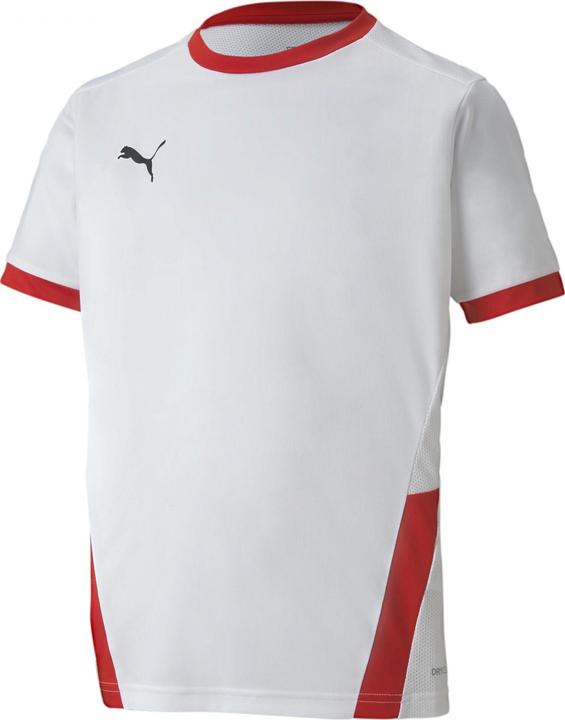 Image du produit Puma teamGOAL 23 Jersey jr-704160 (128)