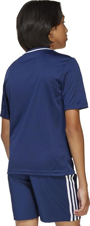 Actual product image adidas Campeon 25 Jersey Kids (164)