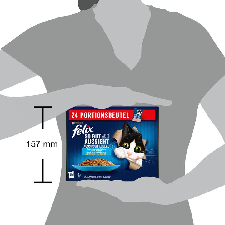 Image du produit Felix Aussi bon que beau (Adulte, 24 pcs, 2040 g)
