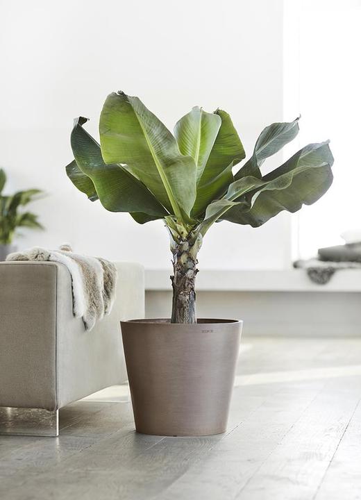 Produktbild Ecopots Amsterdam (50 cm)