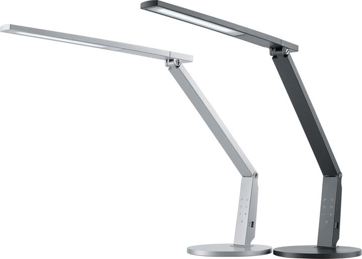 Actual product image Hansa Vario Plus (741 lm)