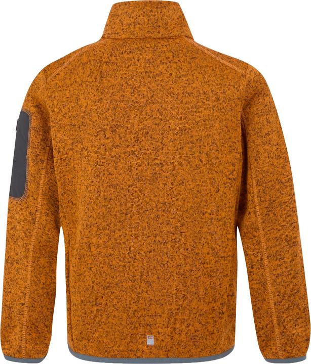 Actual product image Regatta Childrens/Kids Newhill Fleece Jacket (158)